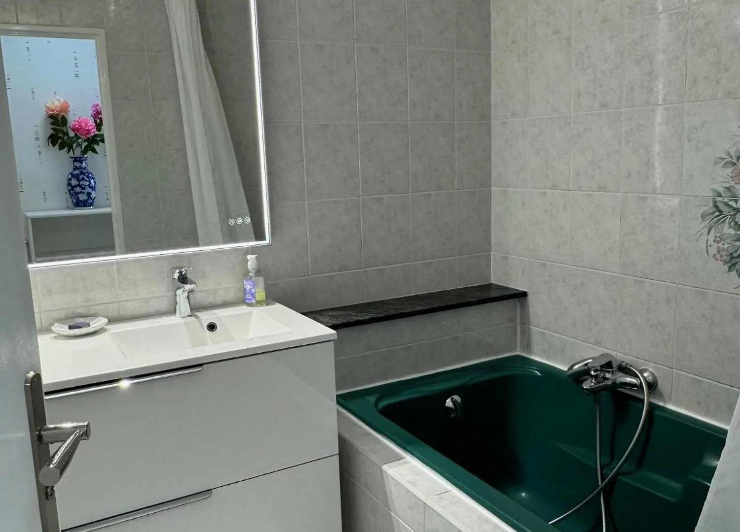 Bellevue Apartment Nice